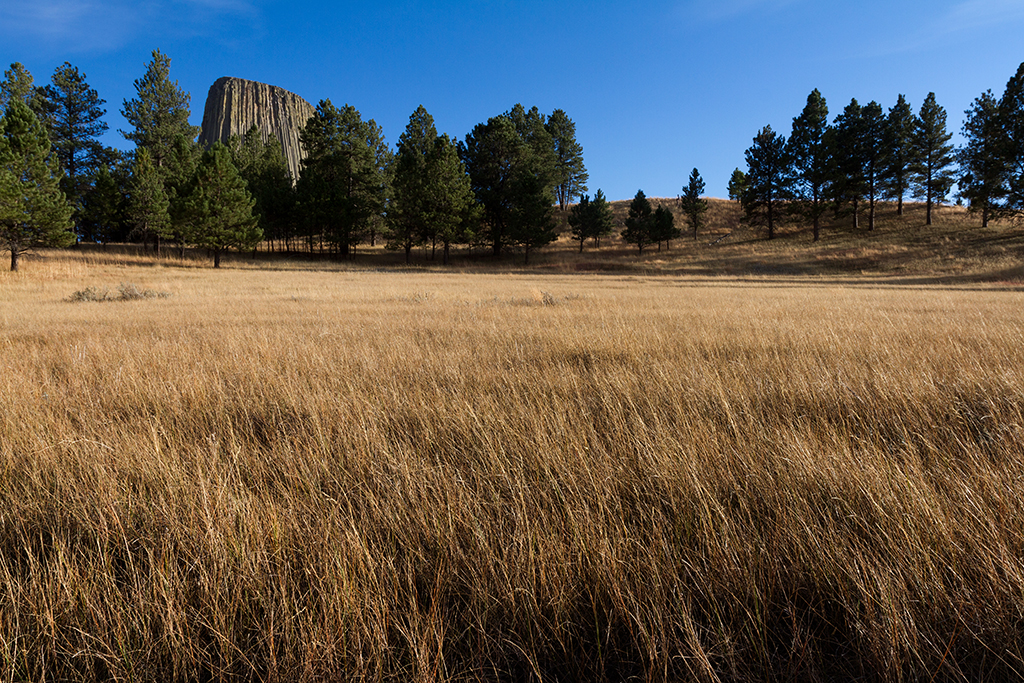 10-07 - 11.jpg - Devils Tower National Monument, WY